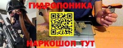 СК Лесосибирск