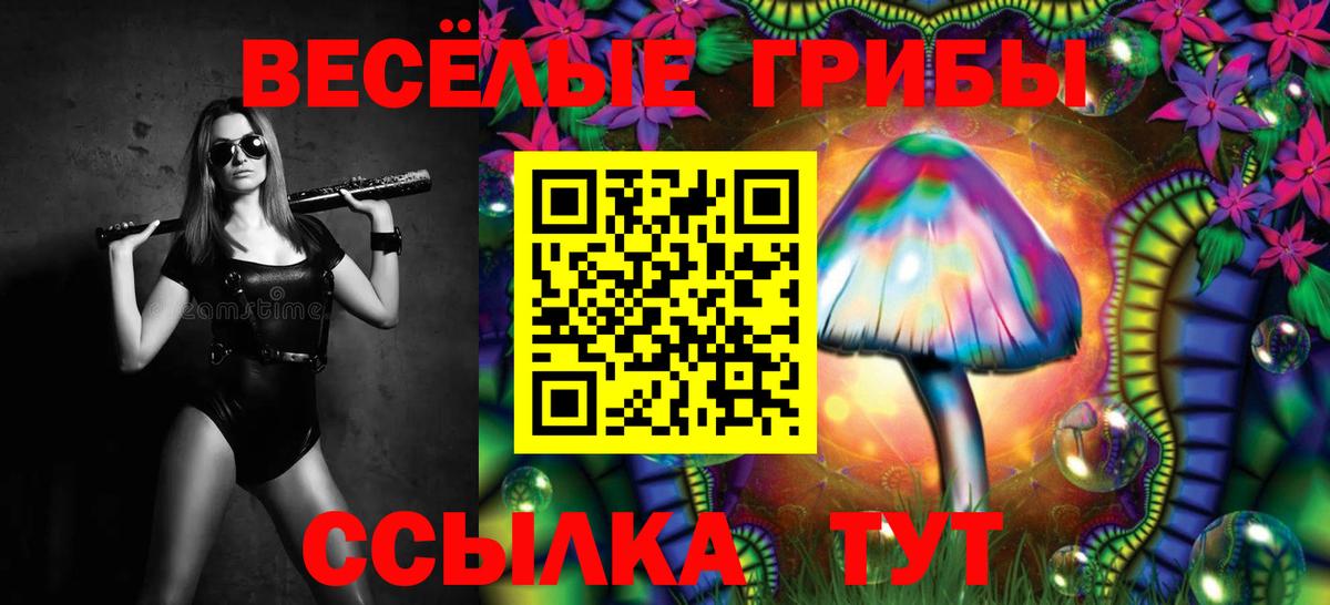 Галлюциногенные грибы мухоморы Егорьевск